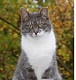 Avatar du membre