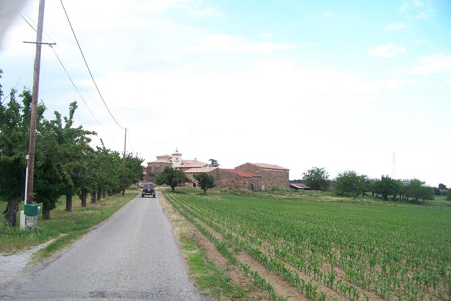 paysage.JPG