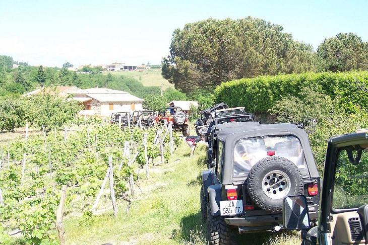 pause dans les vignes.JPG