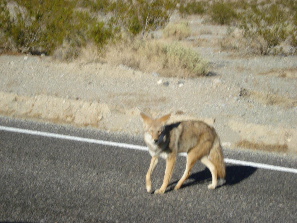DSC00131.JPG
