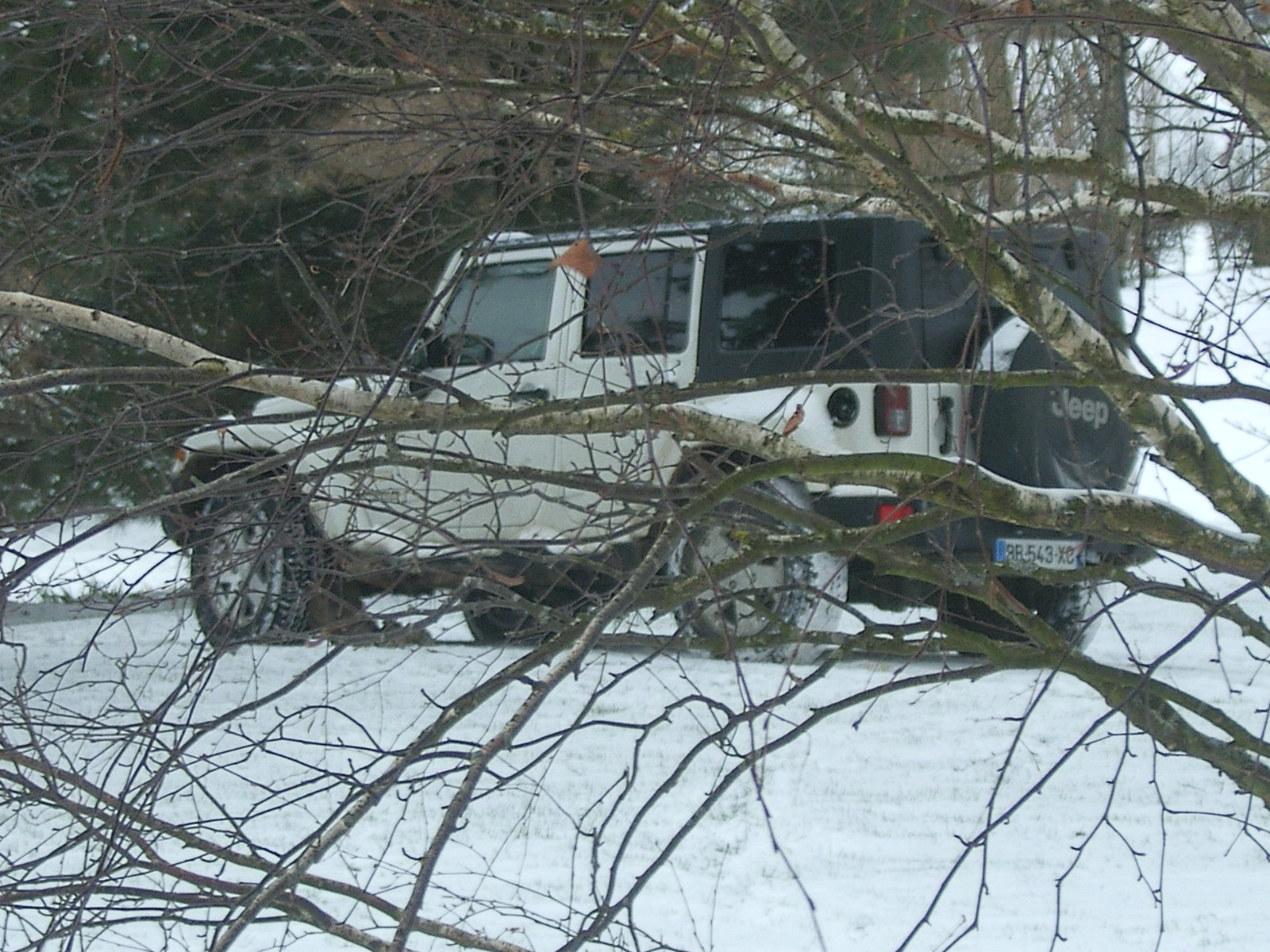 SA500141.JPG