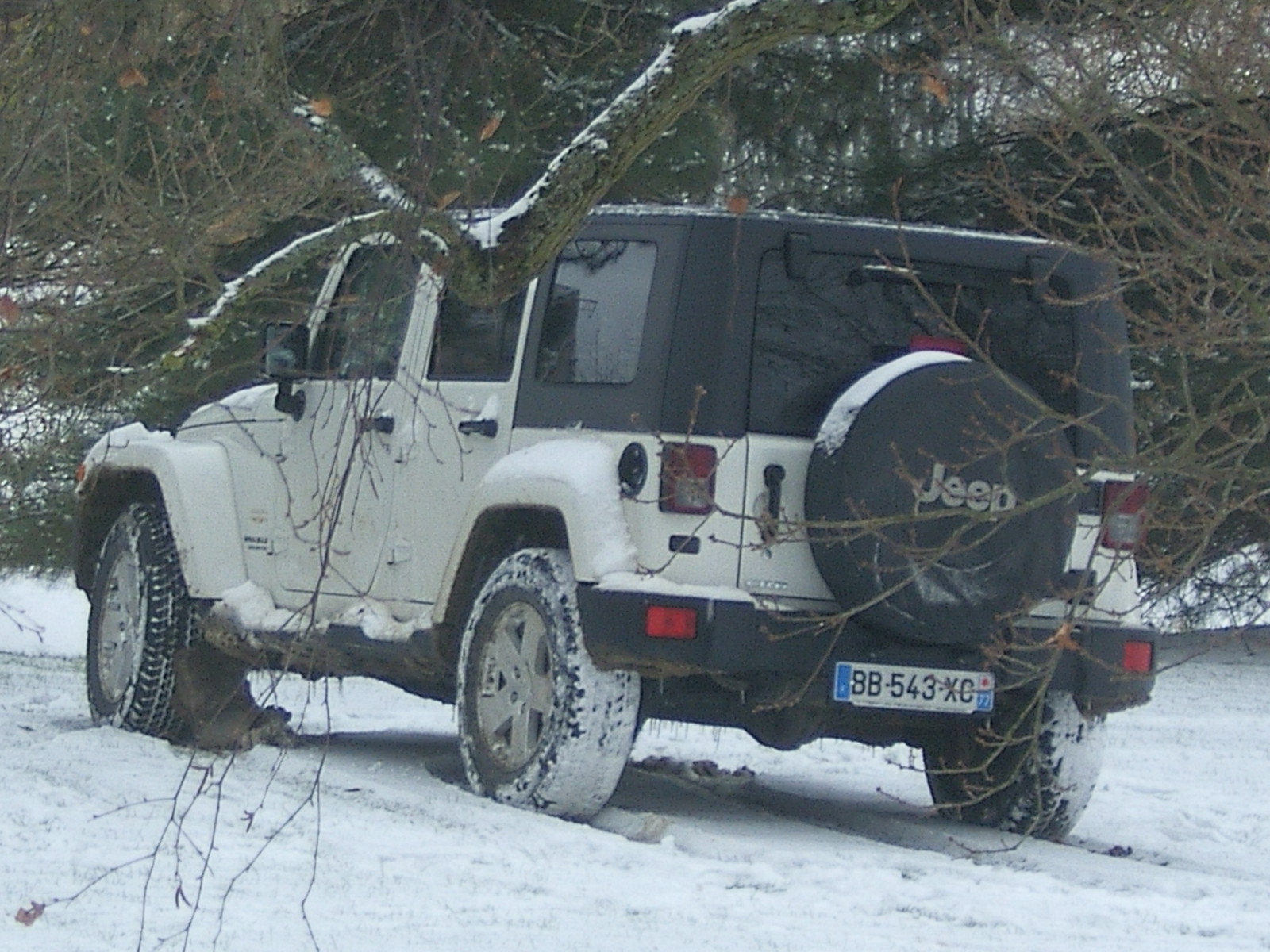 SA500139.JPG