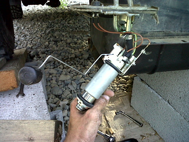 IMG00189-20110424-1830.jpg
