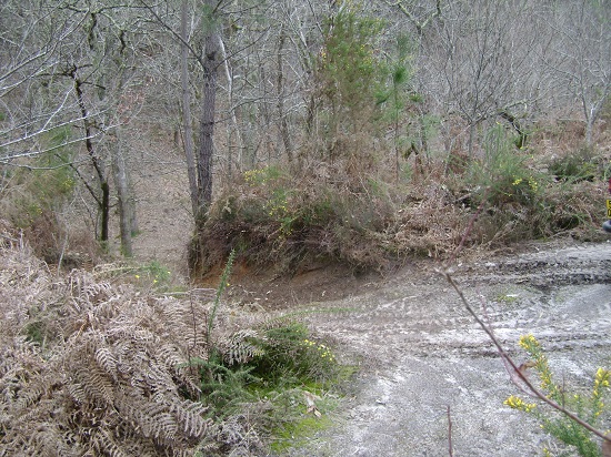 DSC05526.JPG