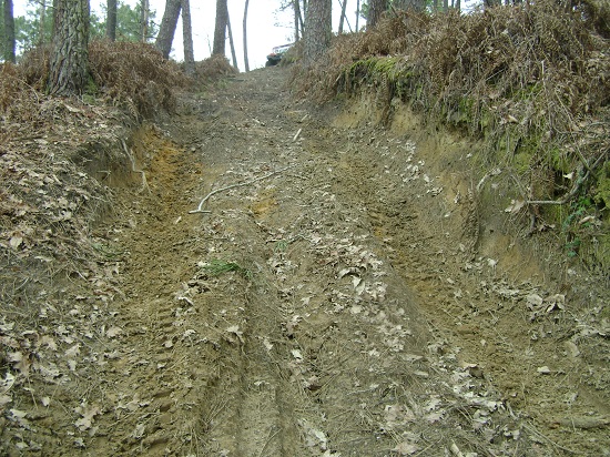 DSC05525.JPG