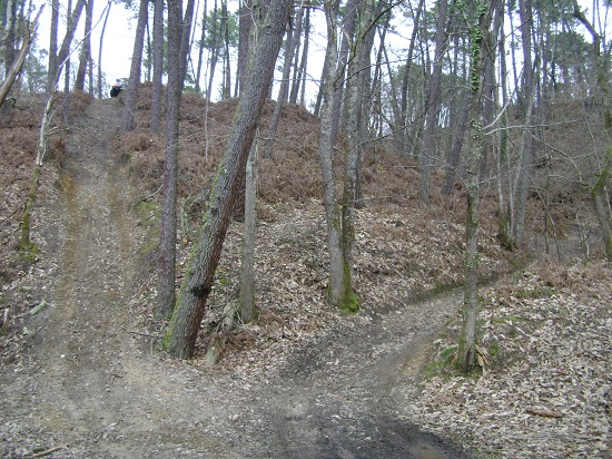 DSC05524.JPG