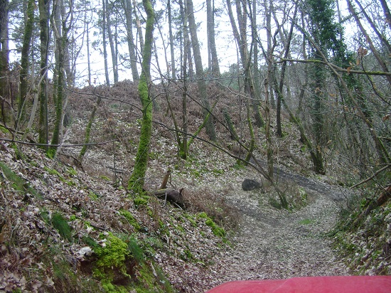 DSC05517.JPG