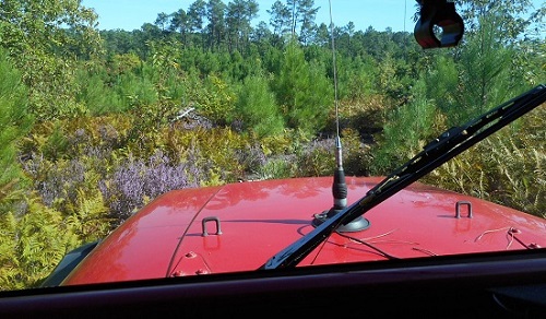 DSCN0510.JPG