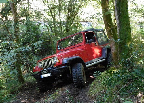 DSCN0504.JPG