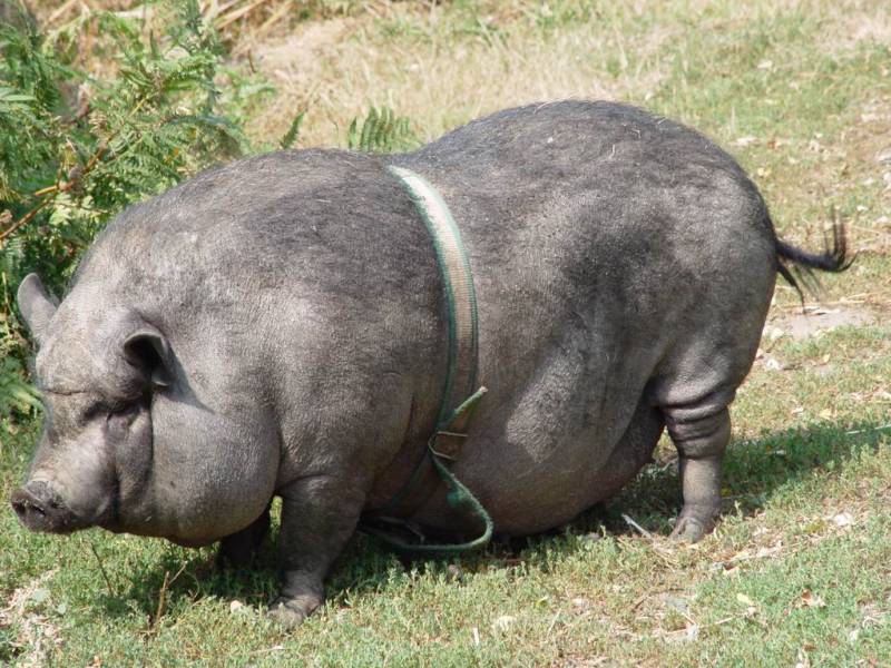 Martine.jpg