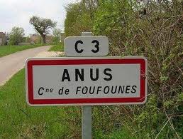 anus.jpg
