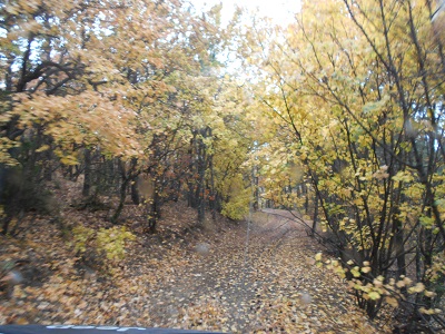 DSCN2588.JPG