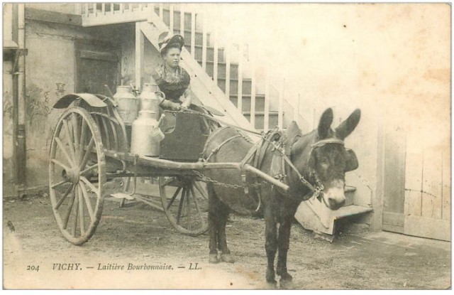 laitiere-bourbonnaise-1906-attelage-mule-et-ane.JPG
