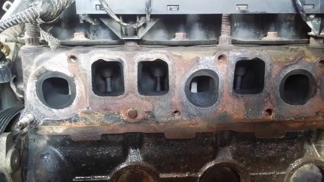 20190503_115630.jpg
