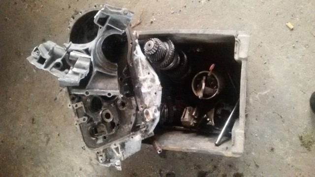 20200408_100404.jpg