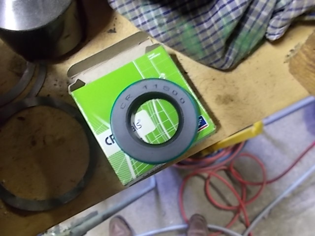 DSCN0921.JPG