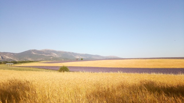 IMG-20200709-WA0003.jpeg