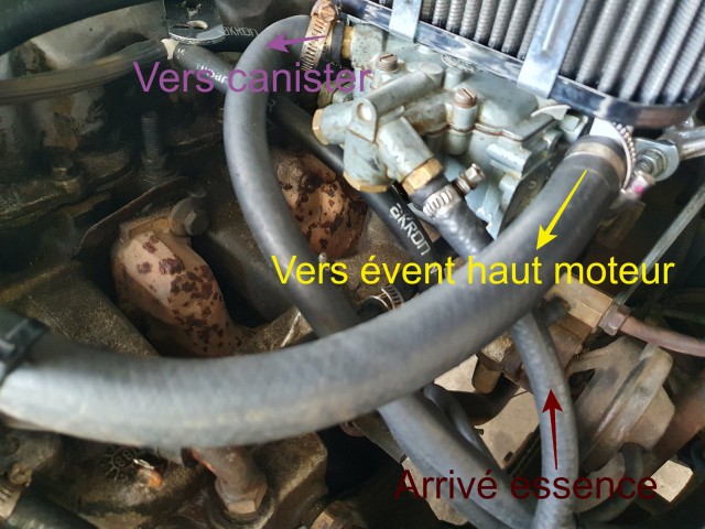 20200827_195624.jpg