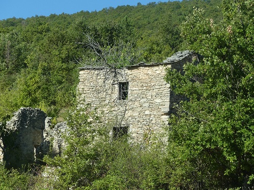 P1010623.JPG