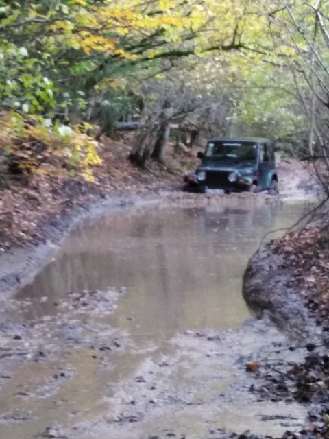 IMG_20201025_103748.jpg