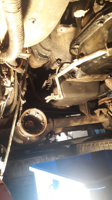 20201206_151640.jpg