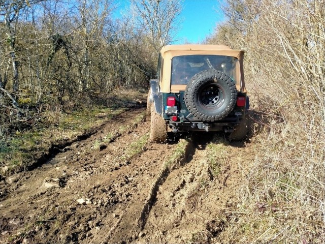 IMG20210221104630.jpg