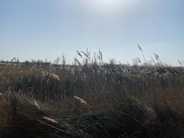 06.JPG