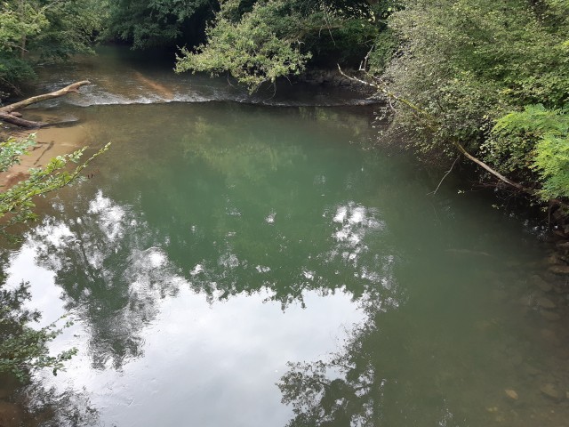 20210803_095749.jpg
