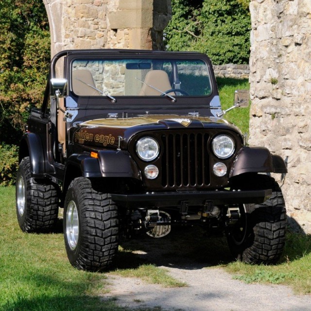 elargissement-des-ailes-12cm-elargissements-au-xenon-purim-jeep-cj-76-86.jpg
