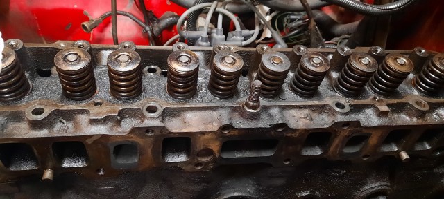 20220123_092722.jpg