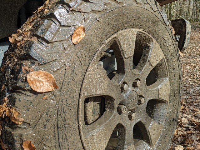 PXL_20220302_095245599.MP.jpg