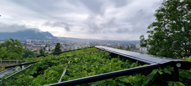 20220531_185513.jpg
