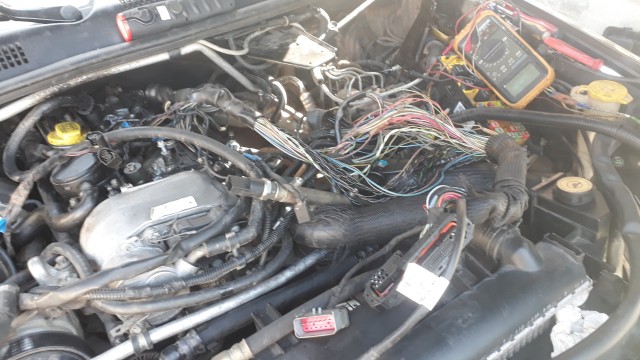 20220716_095852.jpg