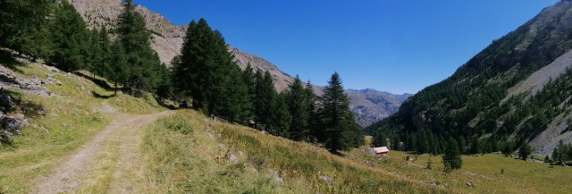 IMG_20220715_113122.jpg