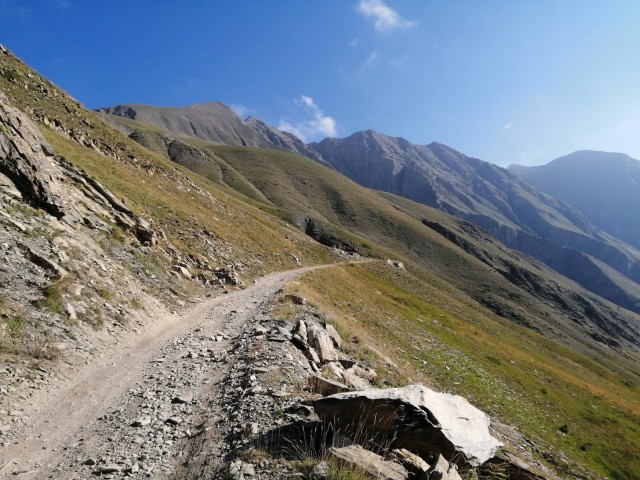IMG_20220717_084812.jpg