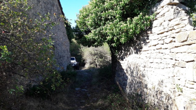 20220916_165921.jpg