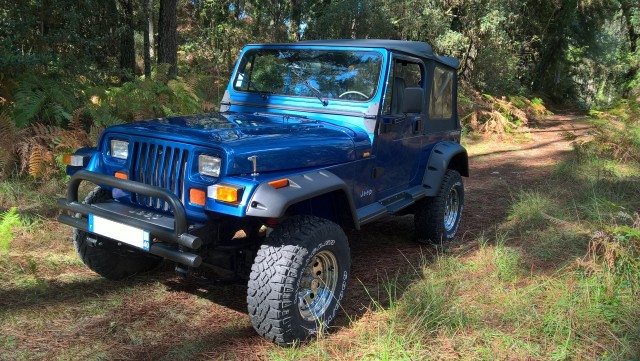 YJ Chargus (1).jpg