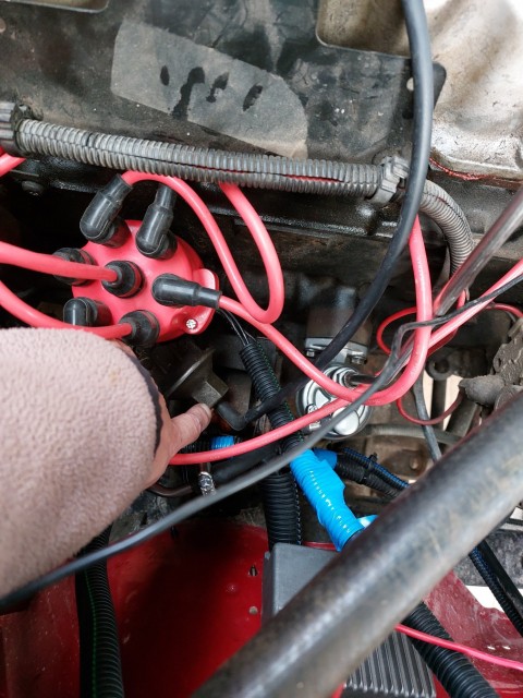 20221003_114812.jpg