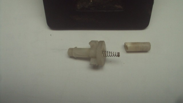 DSC02142.JPG