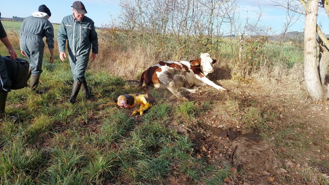 IMG-20221113-WA0000.jpeg
