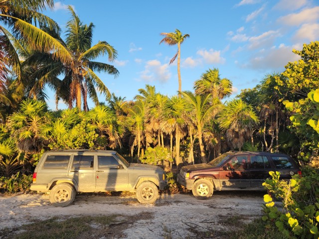 20221106_071336.jpg
