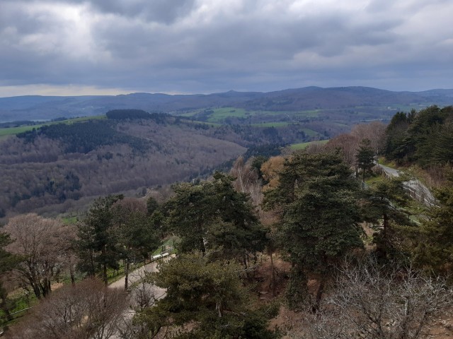 20230417_170724.jpg