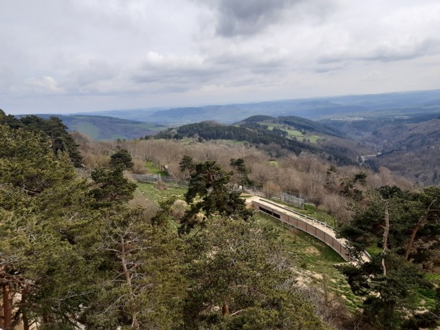20230417_170719.jpg