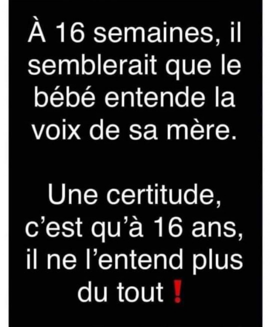 IMG_3622.png