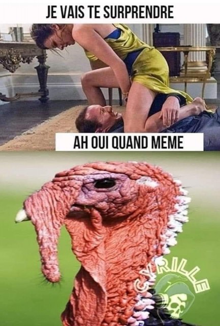 IMG_3658.jpeg