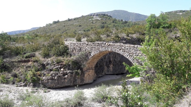 20230528_111643.jpg