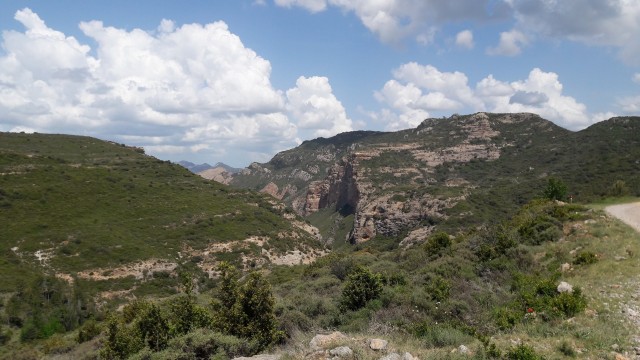 20230529_120843.jpg