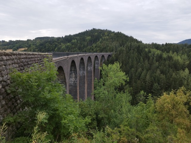 IMG_20230815_104408.jpg