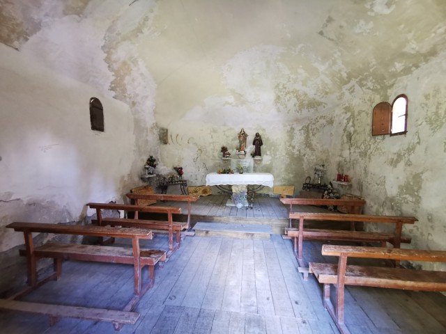 IMG_20230803_120234.jpg
