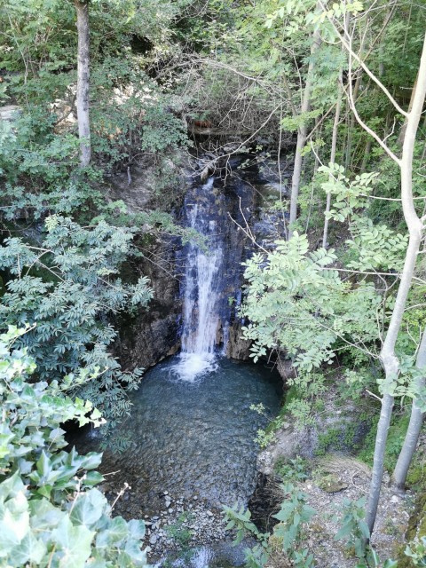 IMG_20230805_101634.jpg